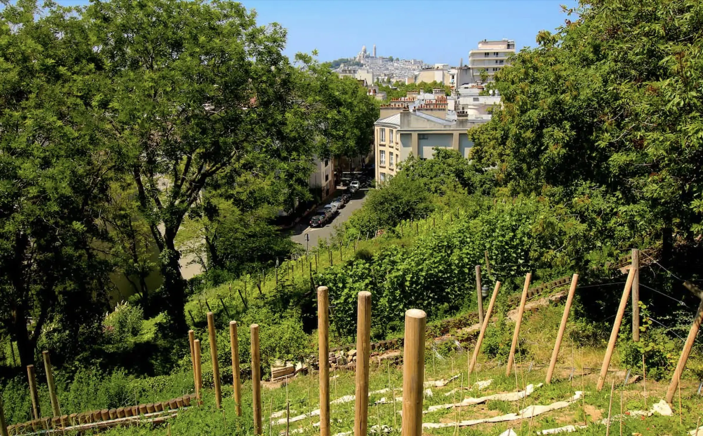 Butte Bergeyre panorama secret Paris 19e