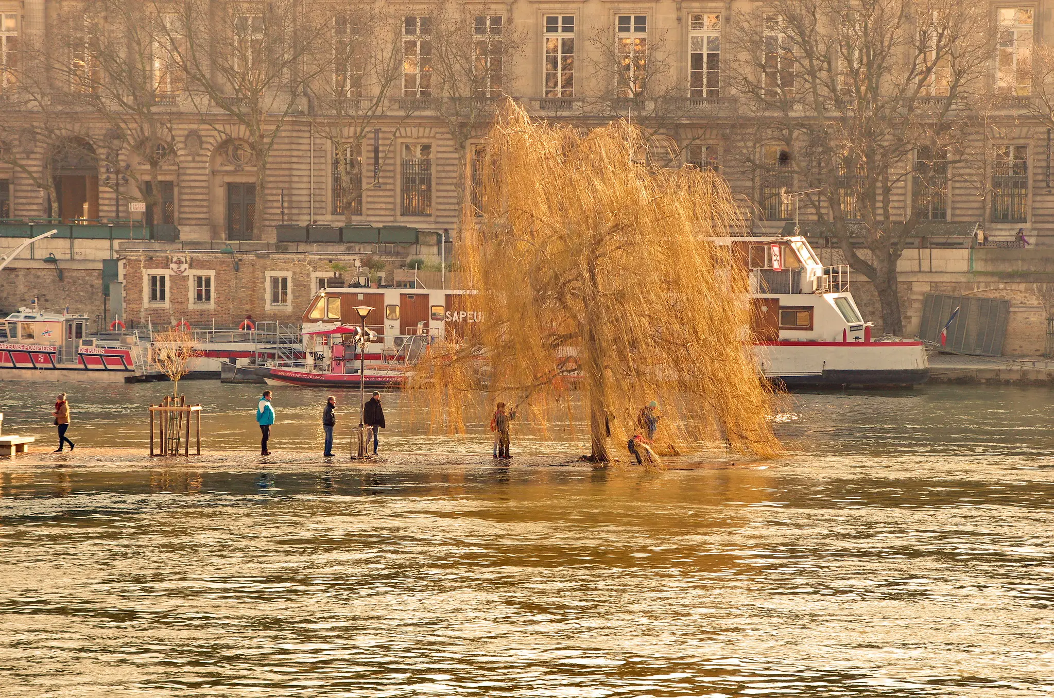 Notre-Dame et Île de la Cité lors d’une visite guidée à Paris